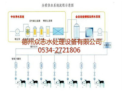 分質供水系統流程示意圖